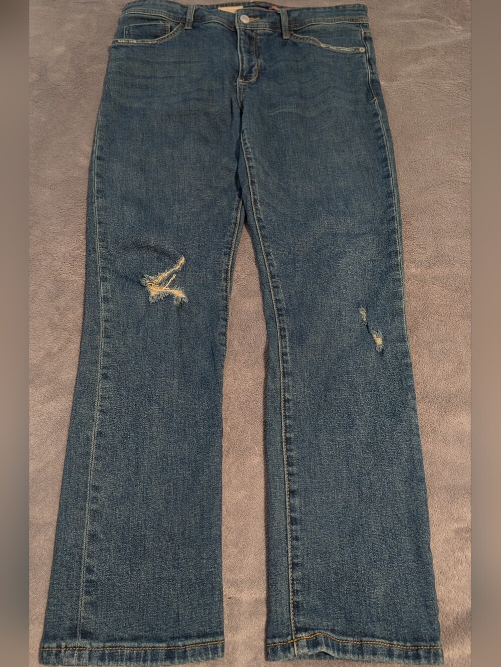 Anthropologie Pilcro Slim Boyfriend Distressed Jeans Size 30